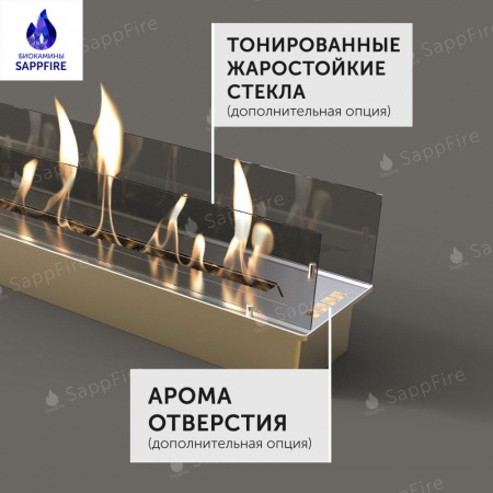 Встраиваемый биокамин / очаг Venera Gold 1300 (SappFire) Встраиваемый биокамин / очаг Venera Gold 1300 (SappFire) по цене 63 850 руб.
